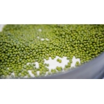 Đậu Xanh Nguyên Hạt