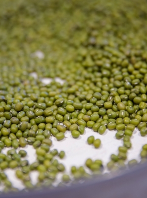 Vì Sao Đậu Xanh Australia Được Ưu Tiên Trong Chuỗi Cung Ứng Toàn Cầu?